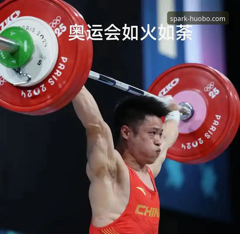 火博体育平台功能解析与使用指南